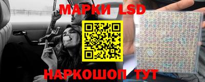 стаф Будённовск
