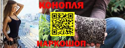 стаф Будённовск