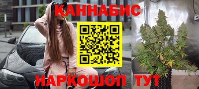 стаф Будённовск