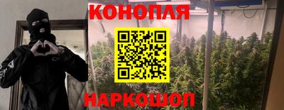 стаф Будённовск