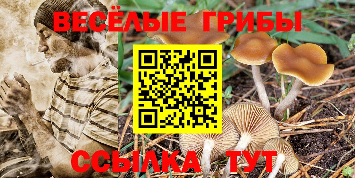 Галлюциногенные грибы Magic Shrooms Новомосковск